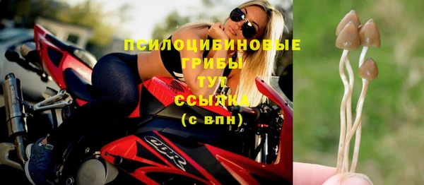 spice Алексеевка