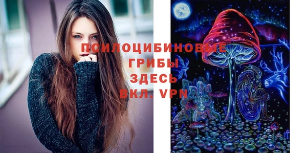 экстази Алексин