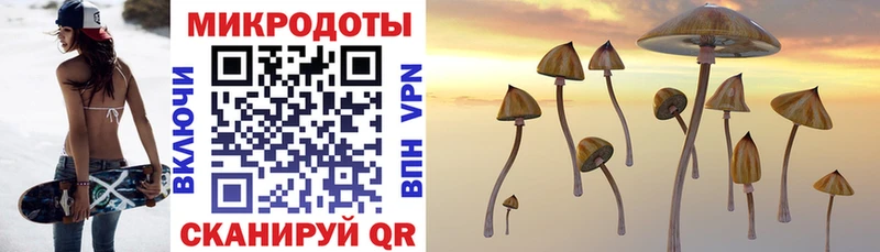 хочу наркоту  Коряжма  Псилоцибиновые грибы Cubensis 