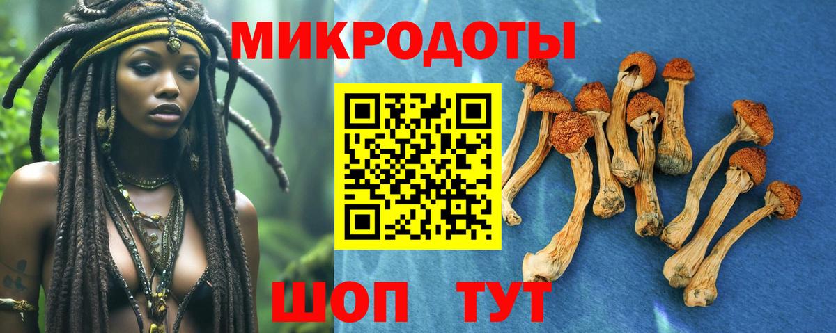 Псилоцибиновые грибы ЛСД  сколько стоит  Псилоцибиновые грибы Psilocybine cubensis  Коряжма  Вход с VPN 